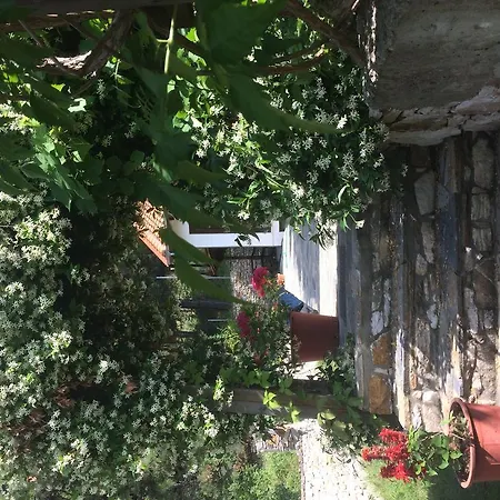 Appartement Menir